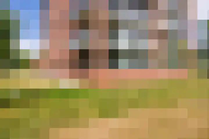 Het Waal 8 Emmen thumbnail 8