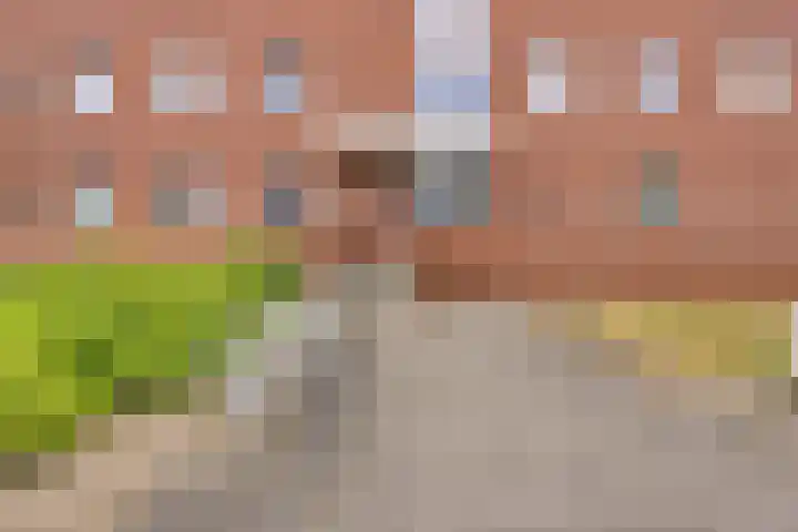 Het Waal 8 Emmen thumbnail 9