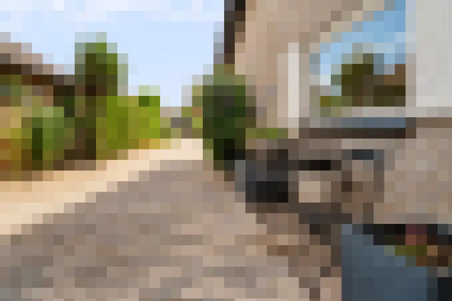 Het Walbekerveld 26 Angerlo thumbnail 10