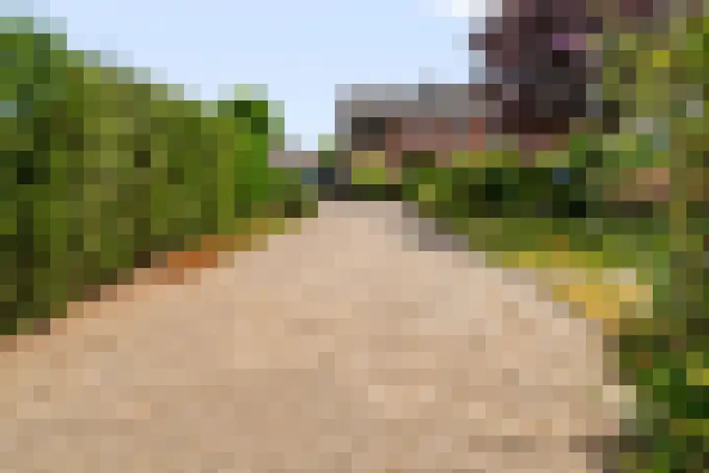 Het Walbekerveld 26 Angerlo thumbnail 11