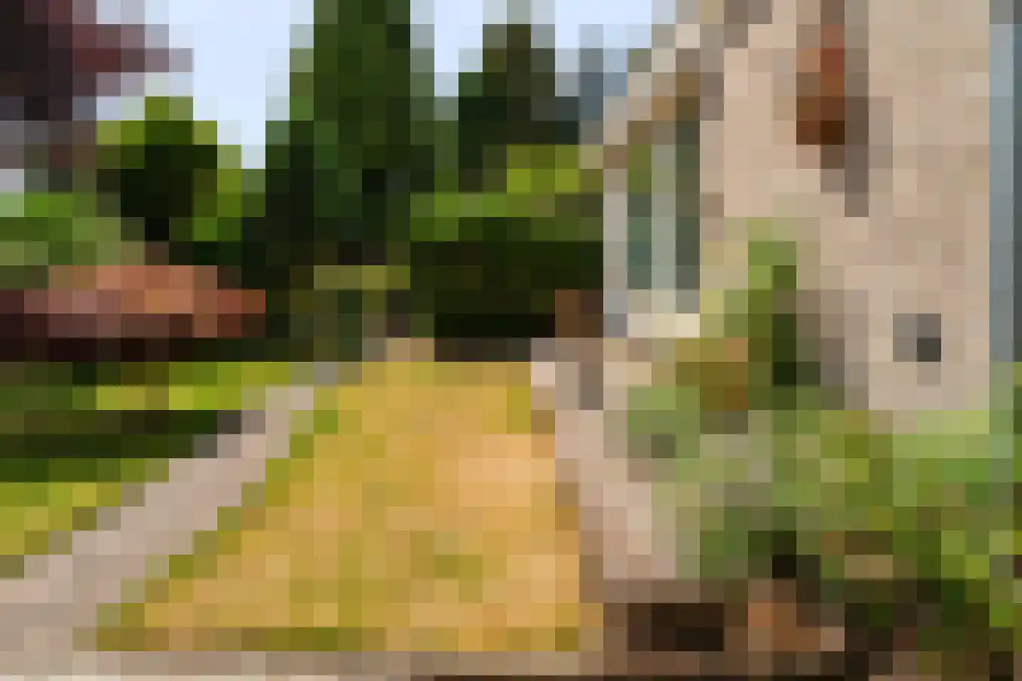 Het Walbekerveld 26 Angerlo thumbnail 12