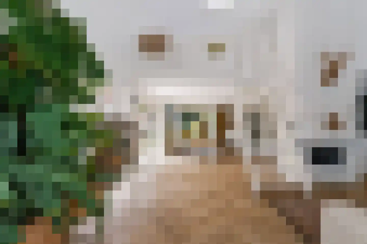 Het Walbekerveld 26 Angerlo thumbnail 26