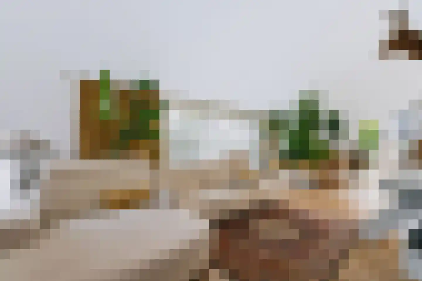 Het Walbekerveld 26 Angerlo thumbnail 27
