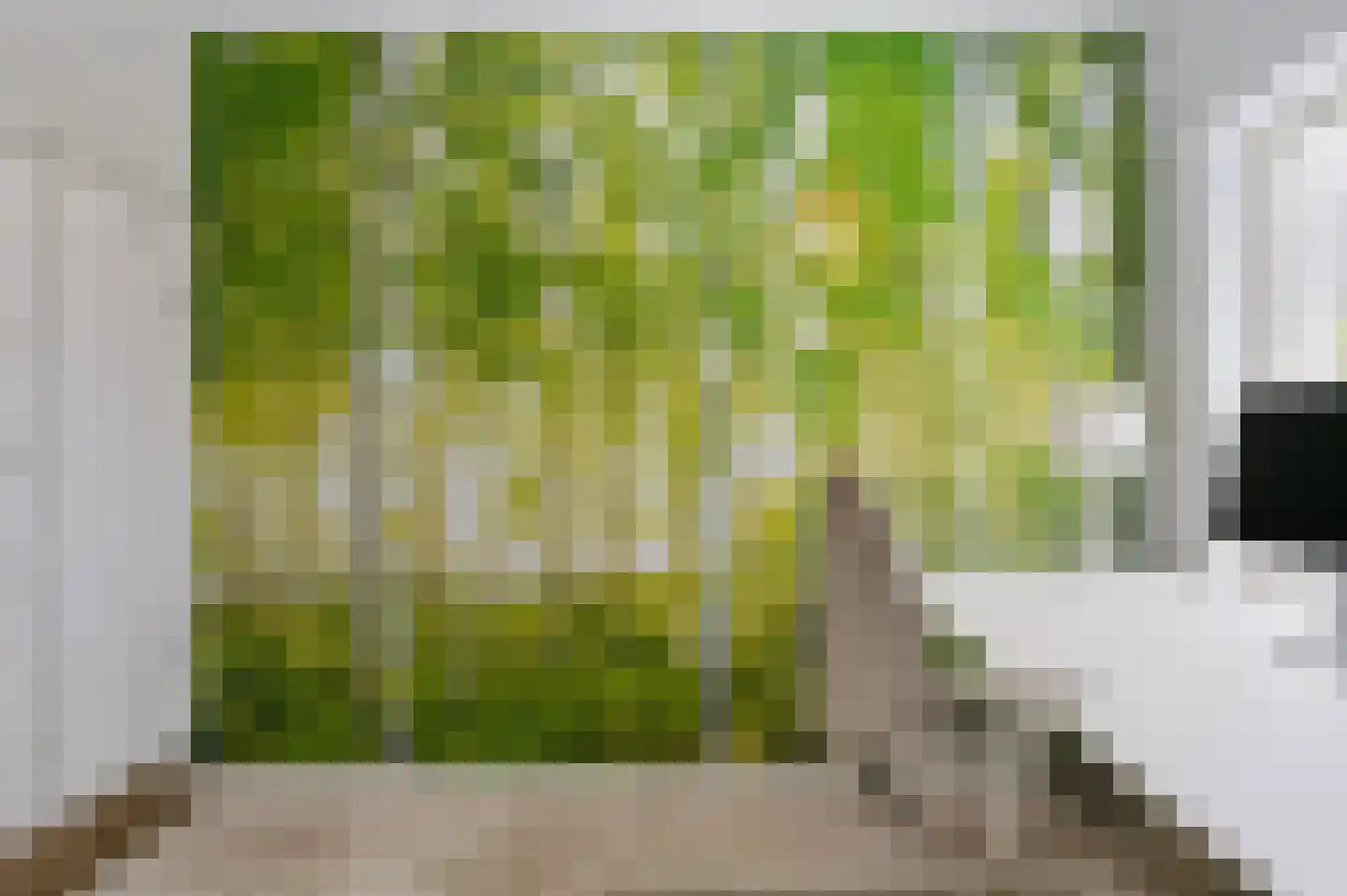 Het Walbekerveld 26 Angerlo thumbnail 29