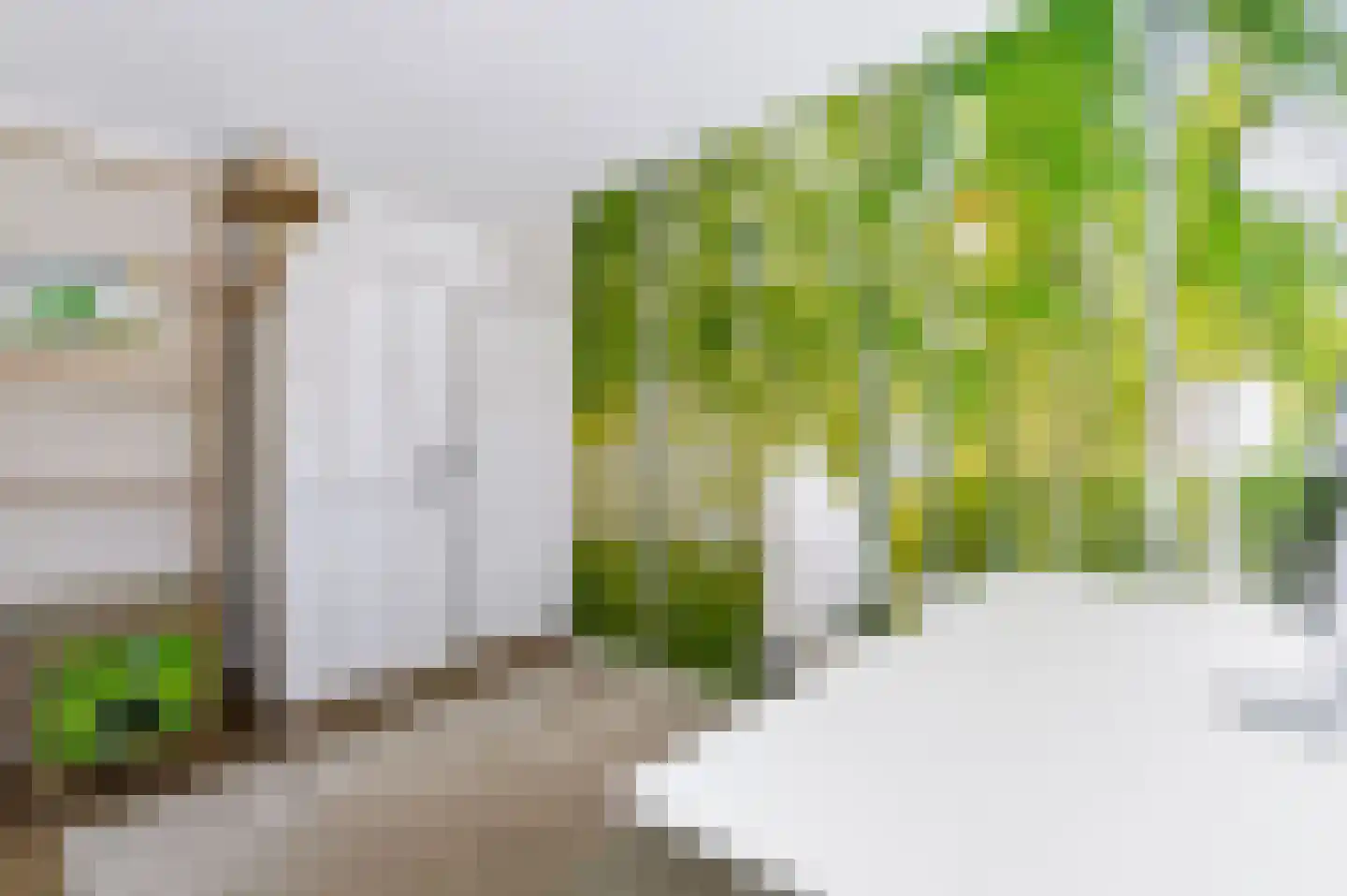 Het Walbekerveld 26 Angerlo thumbnail 30