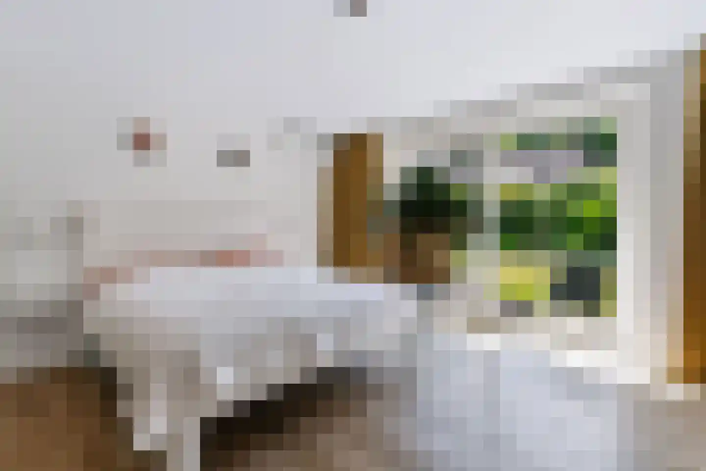 Het Walbekerveld 26 Angerlo thumbnail 33
