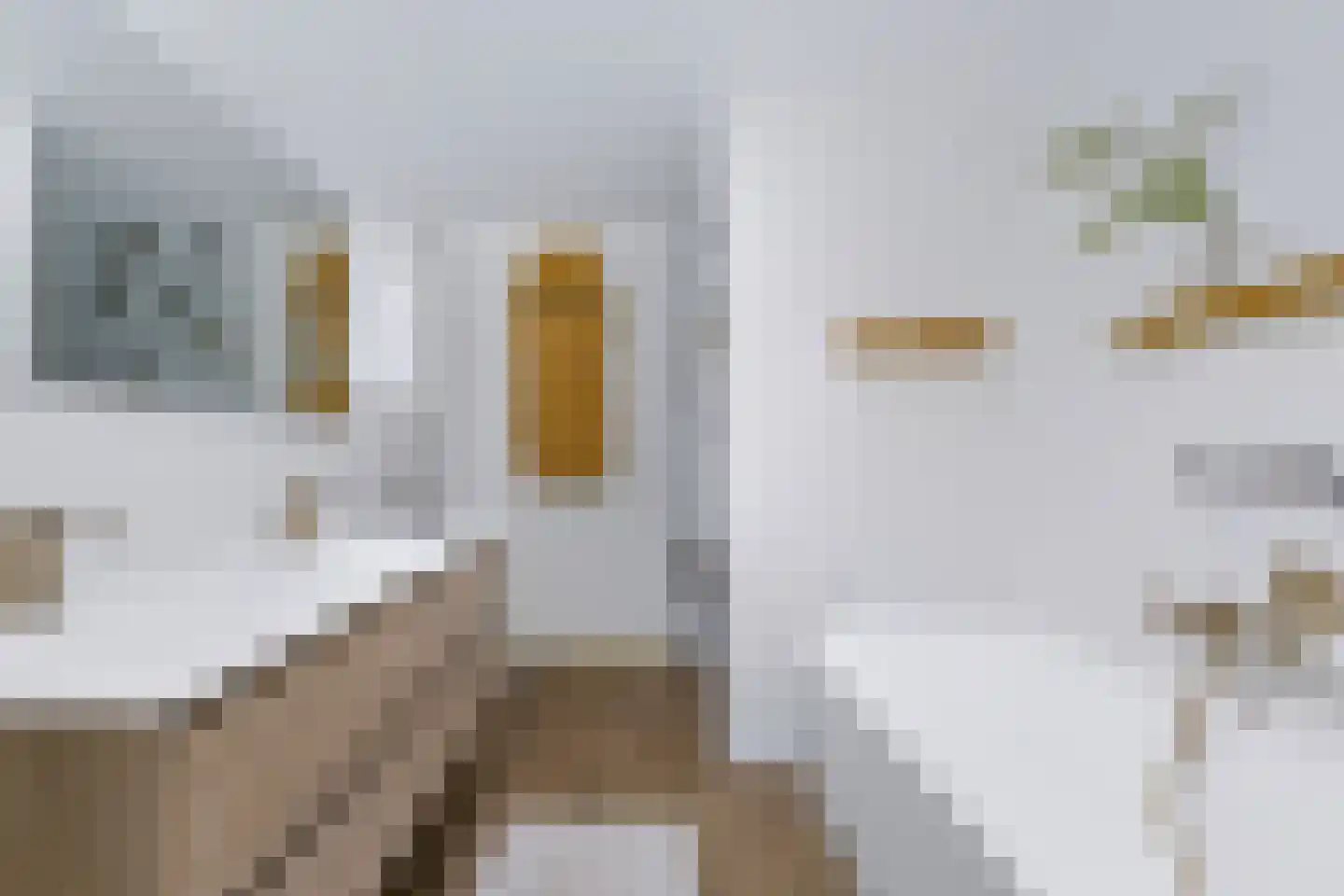 Het Walbekerveld 26 Angerlo thumbnail 4