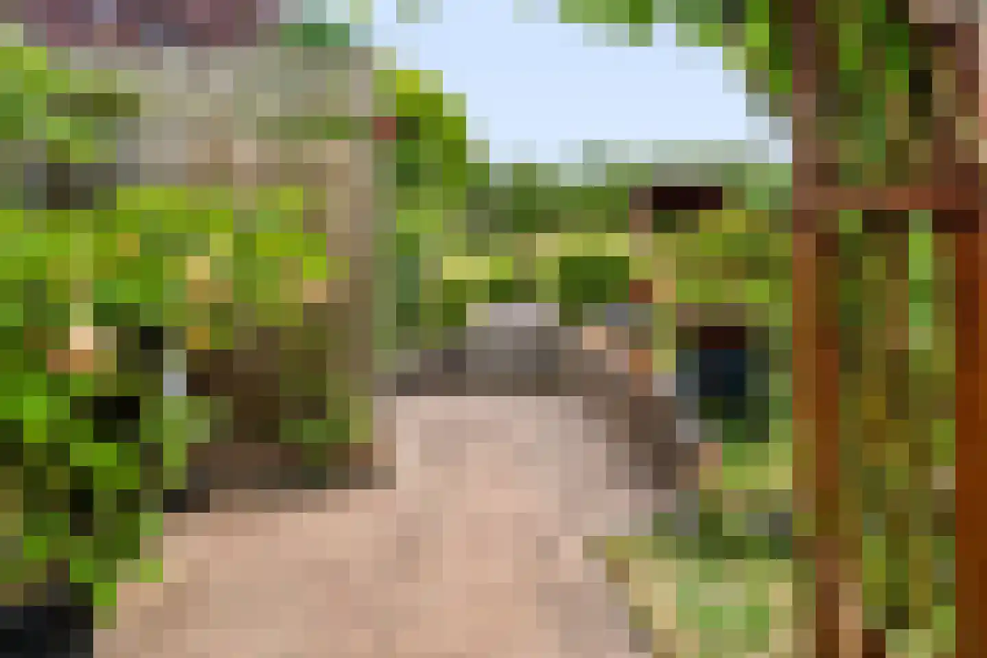 Het Walbekerveld 26 Angerlo thumbnail 42