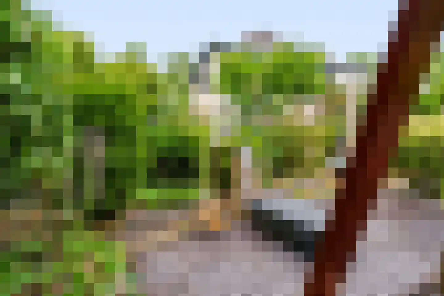 Het Walbekerveld 26 Angerlo thumbnail 44