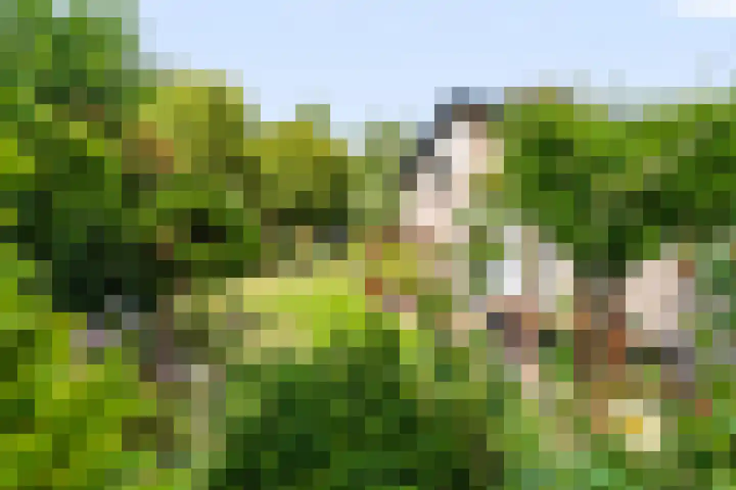 Het Walbekerveld 26 Angerlo thumbnail 45
