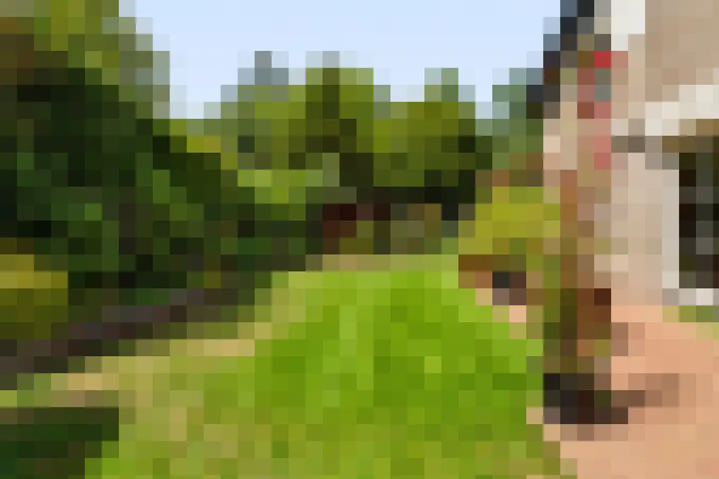 Het Walbekerveld 26 Angerlo thumbnail 47