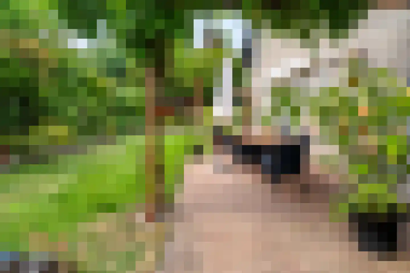 Het Walbekerveld 26 Angerlo thumbnail 48