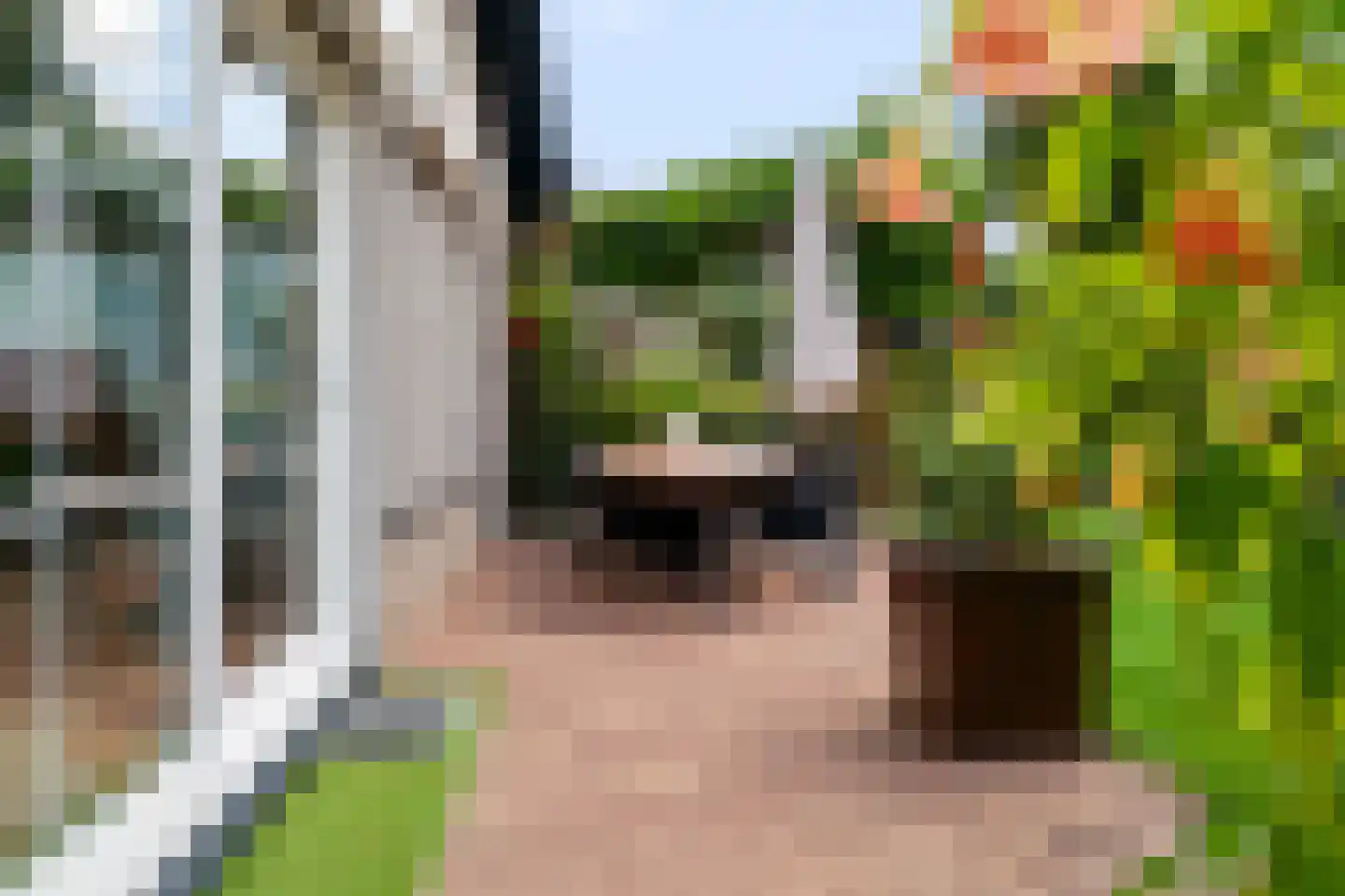 Het Walbekerveld 26 Angerlo thumbnail 49
