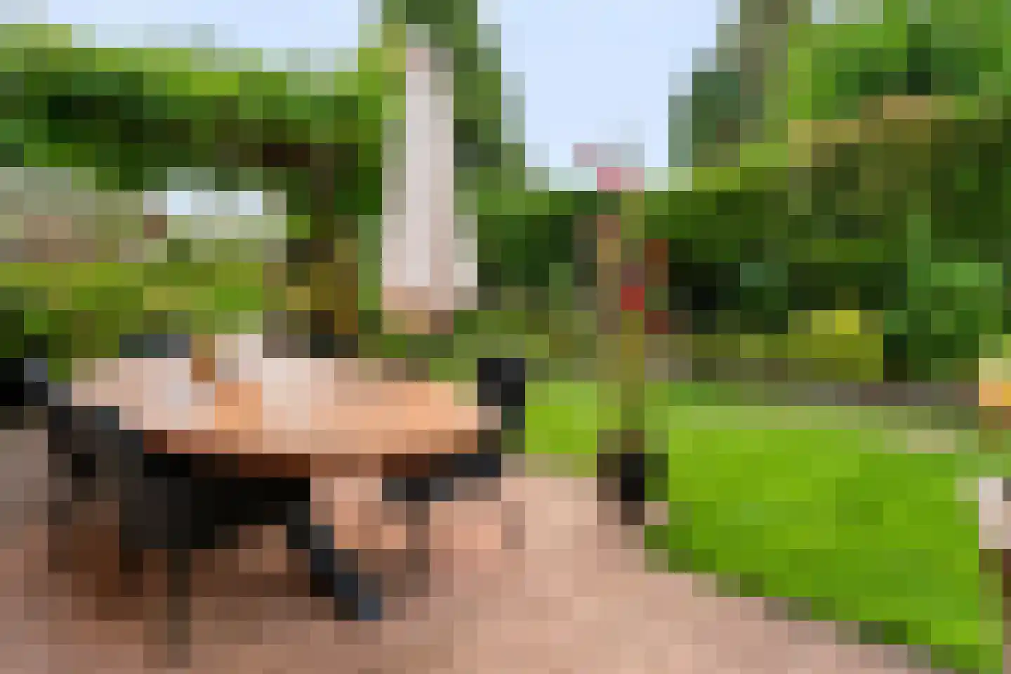 Het Walbekerveld 26 Angerlo thumbnail 50