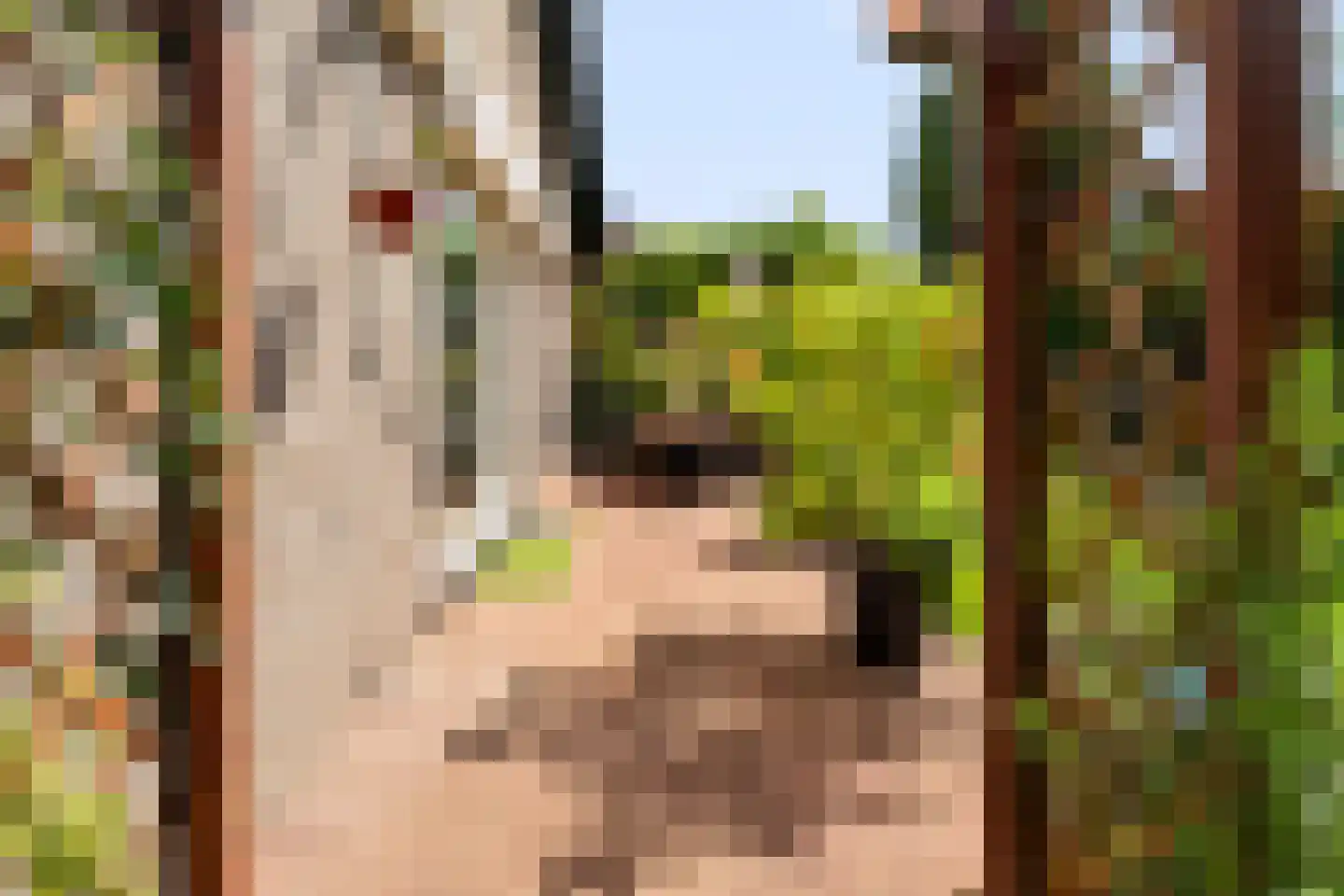 Het Walbekerveld 26 Angerlo thumbnail 51