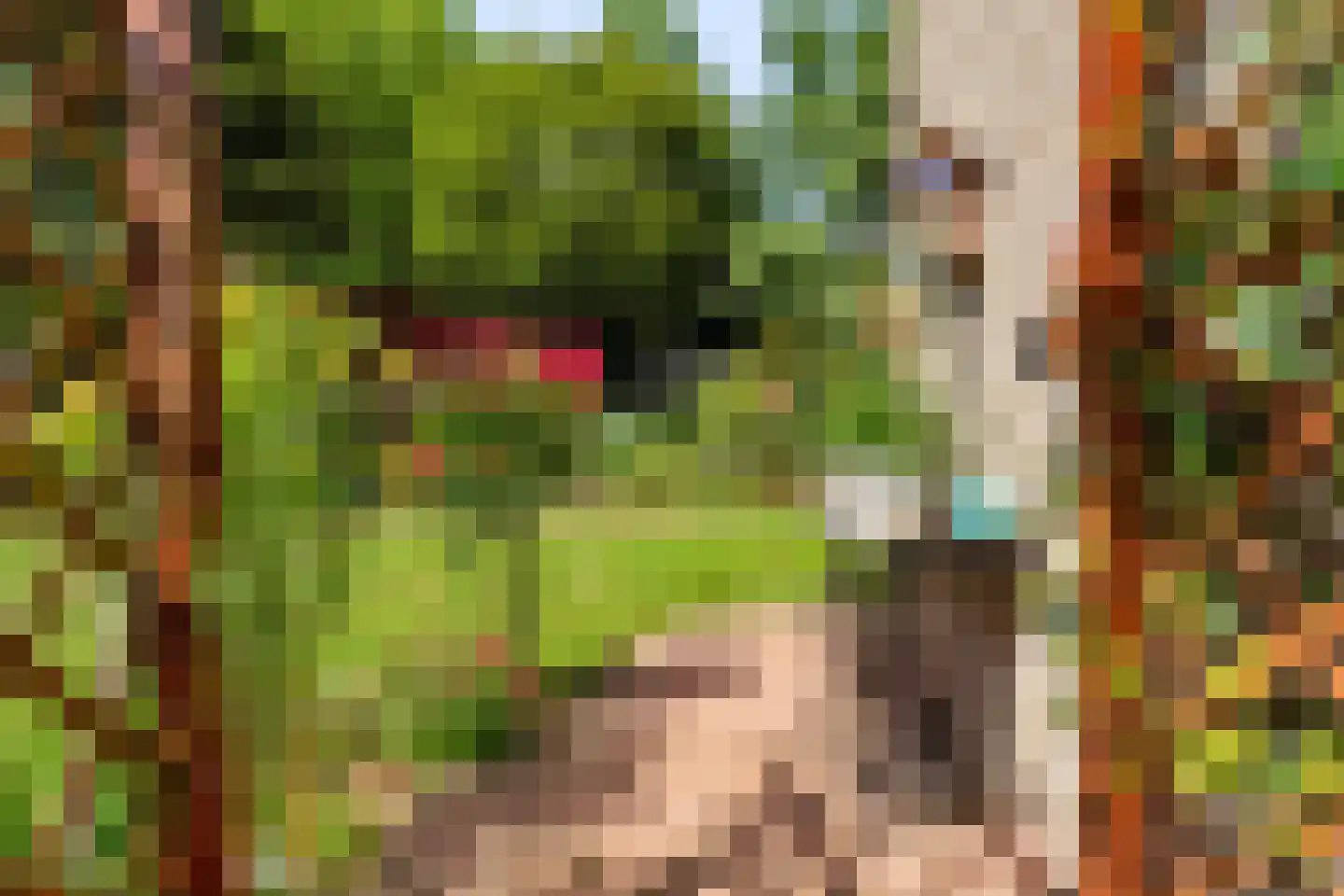 Het Walbekerveld 26 Angerlo thumbnail 52