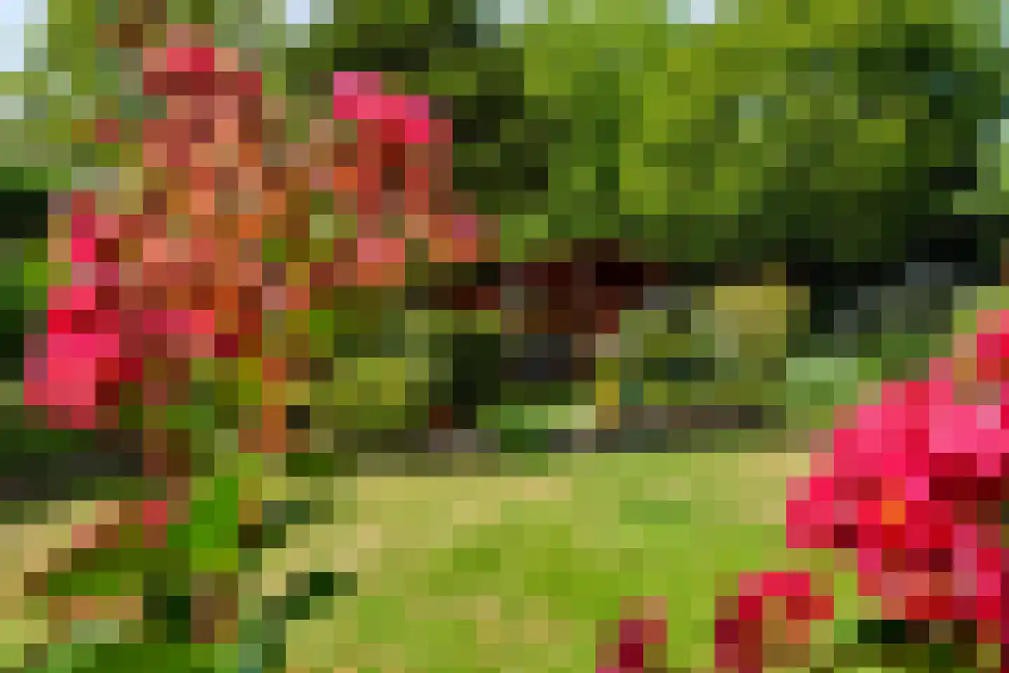 Het Walbekerveld 26 Angerlo thumbnail 53