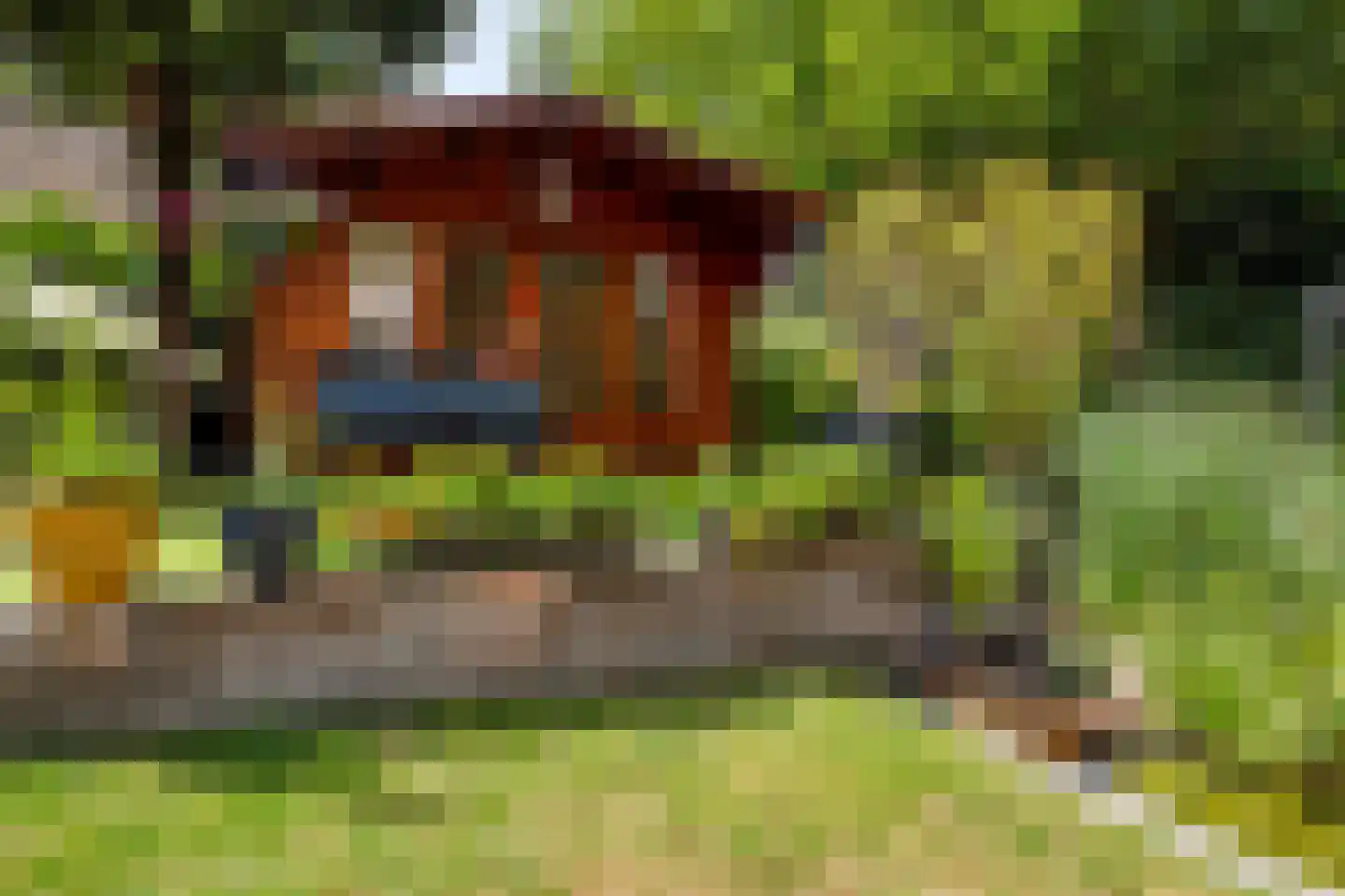 Het Walbekerveld 26 Angerlo thumbnail 55