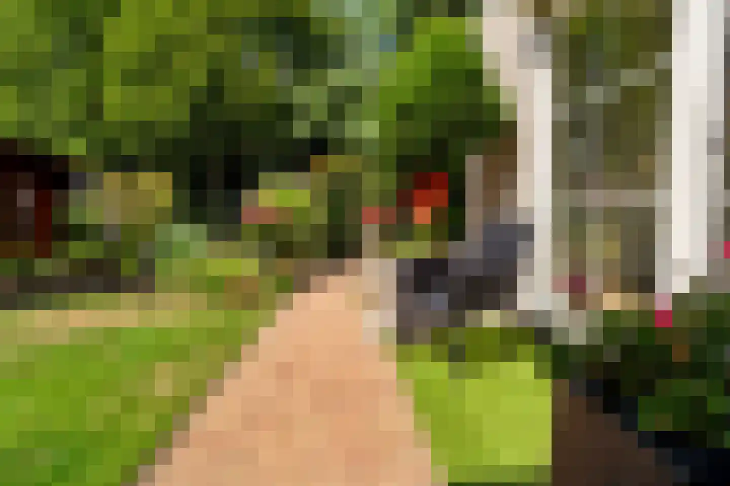 Het Walbekerveld 26 Angerlo thumbnail 57