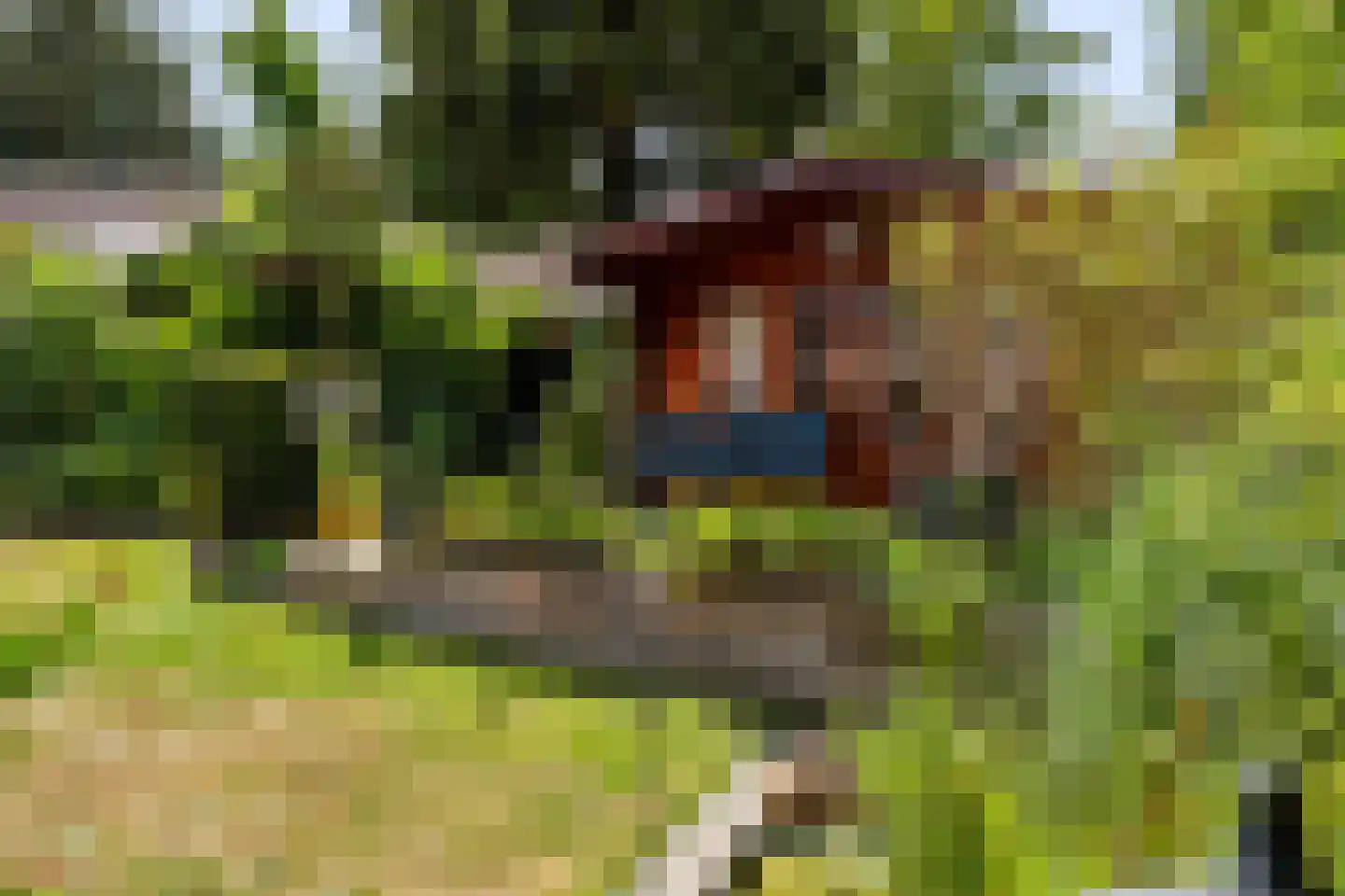 Het Walbekerveld 26 Angerlo thumbnail 58