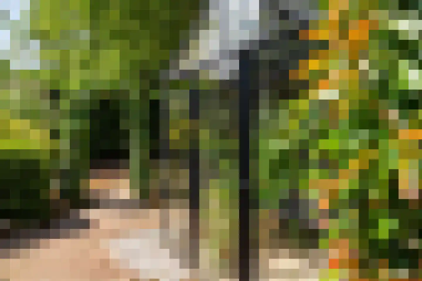 Het Walbekerveld 26 Angerlo thumbnail 59