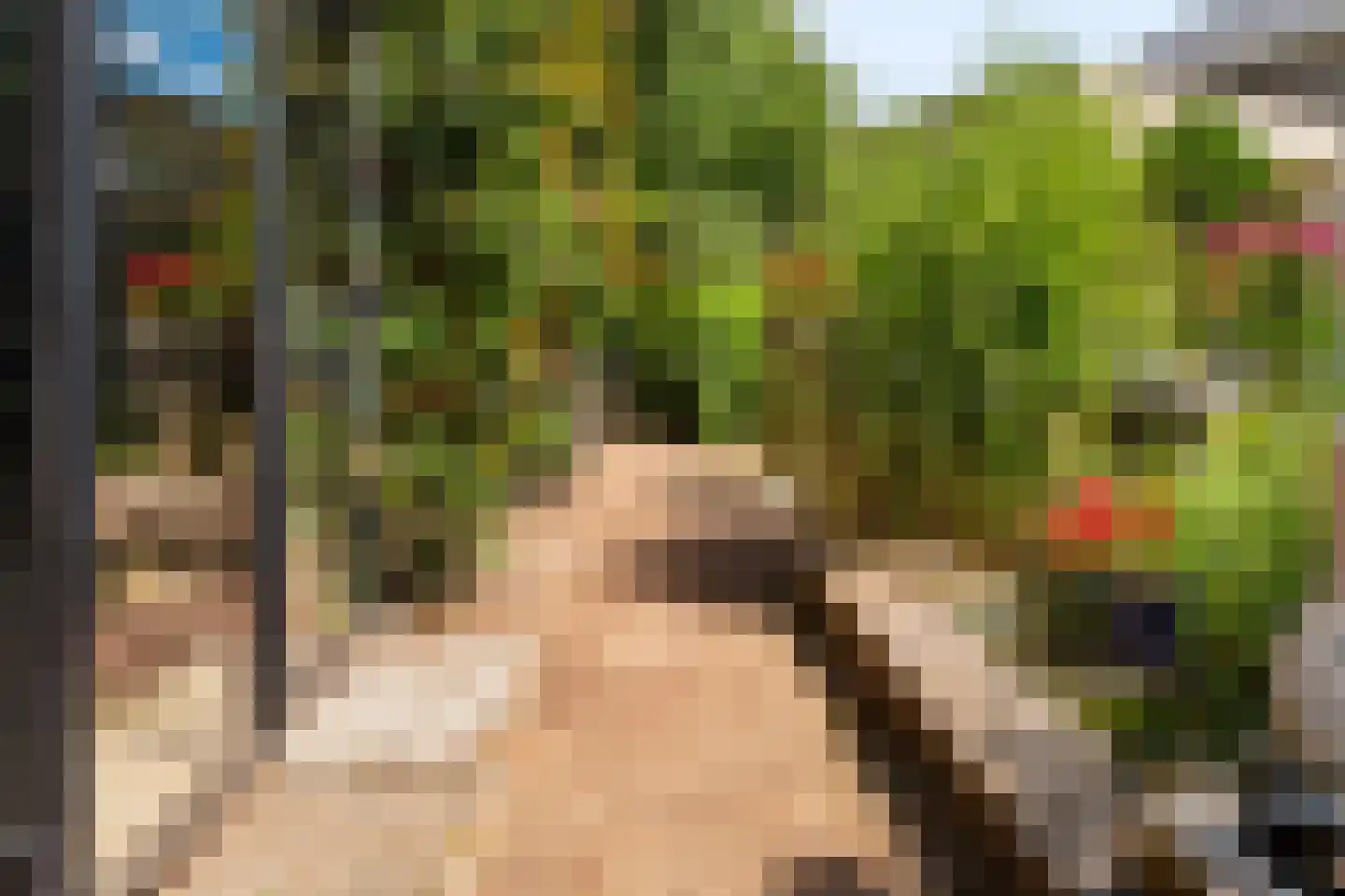 Het Walbekerveld 26 Angerlo thumbnail 60