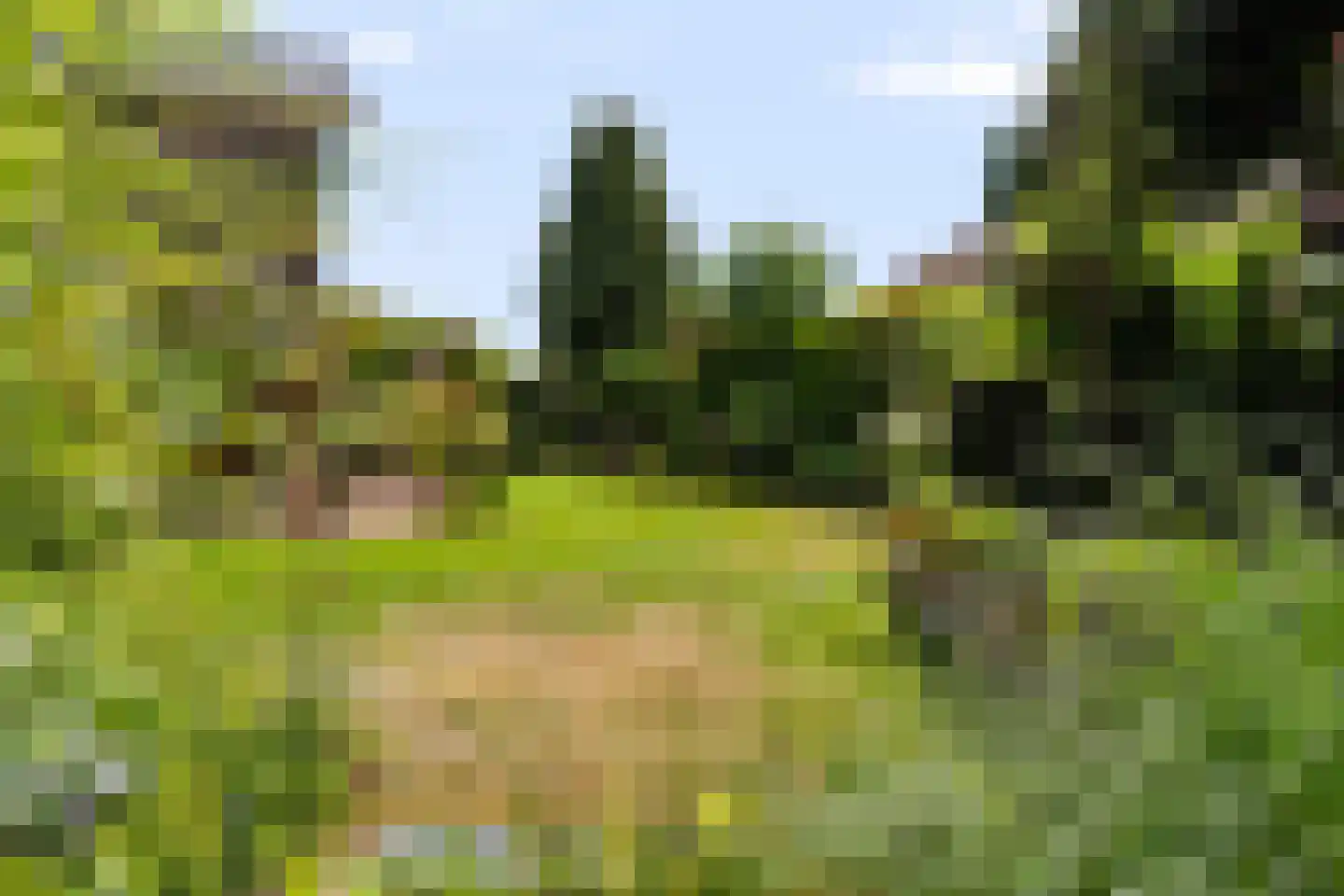Het Walbekerveld 26 Angerlo thumbnail 61