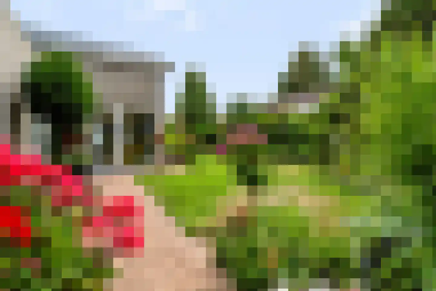 Het Walbekerveld 26 Angerlo thumbnail 62