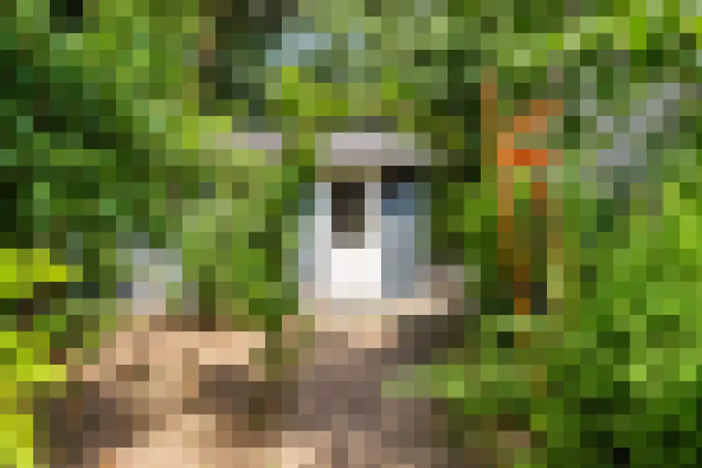 Het Walbekerveld 26 Angerlo thumbnail 63