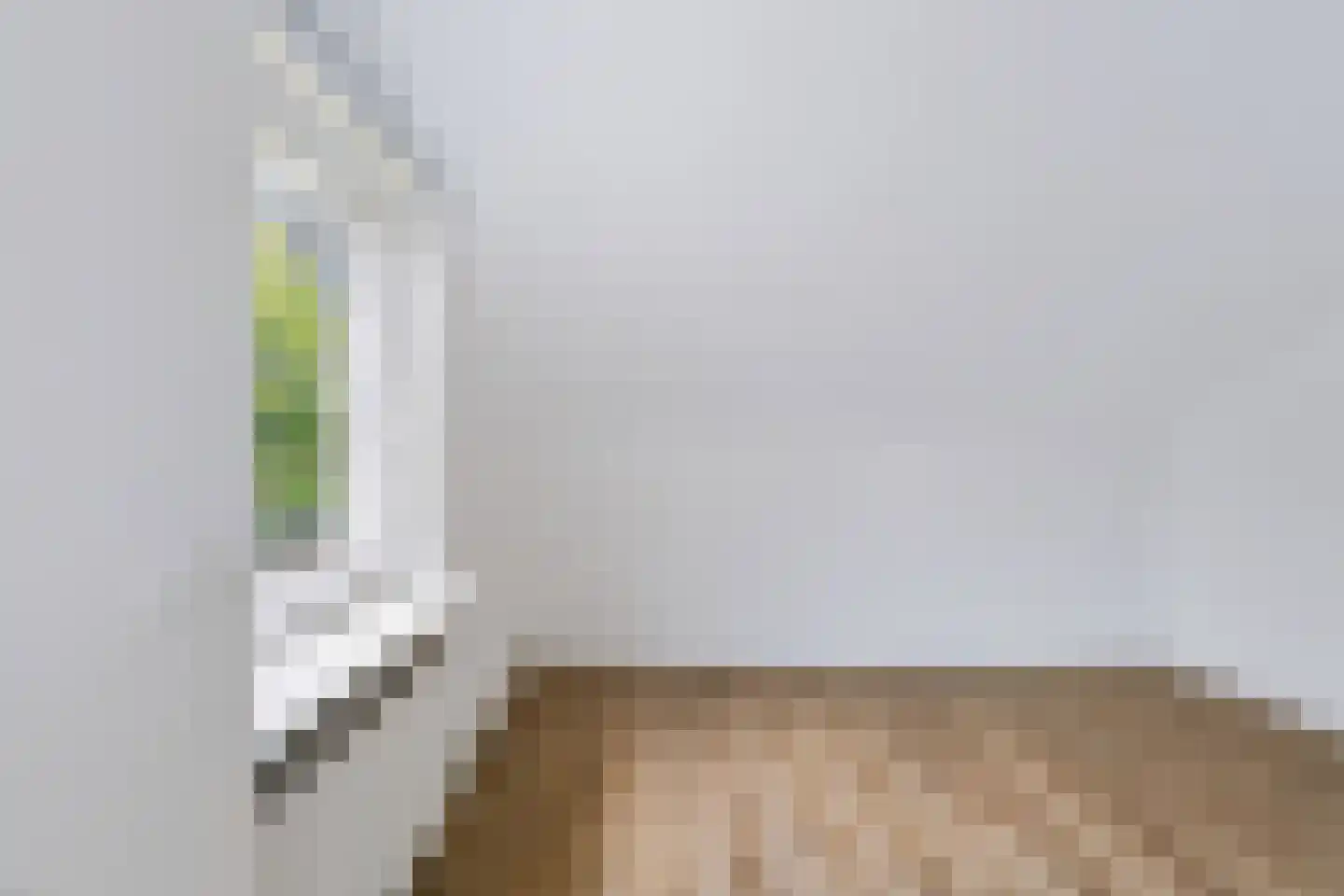Het Walbekerveld 26 Angerlo thumbnail 68