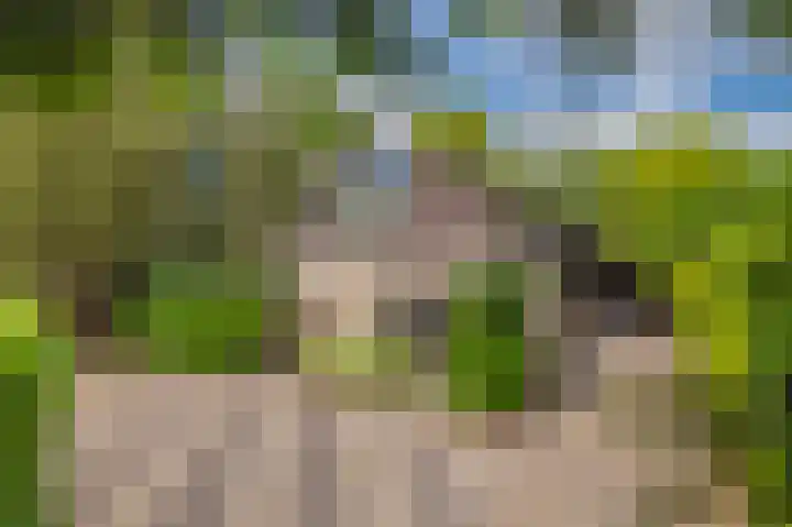 Het Walbekerveld 28 Angerlo thumbnail 10