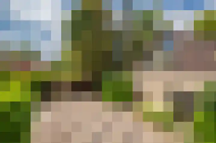 Het Walbekerveld 28 Angerlo thumbnail 11