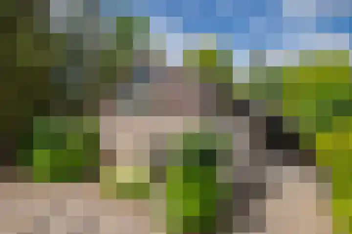 Het Walbekerveld 28 Angerlo thumbnail 13