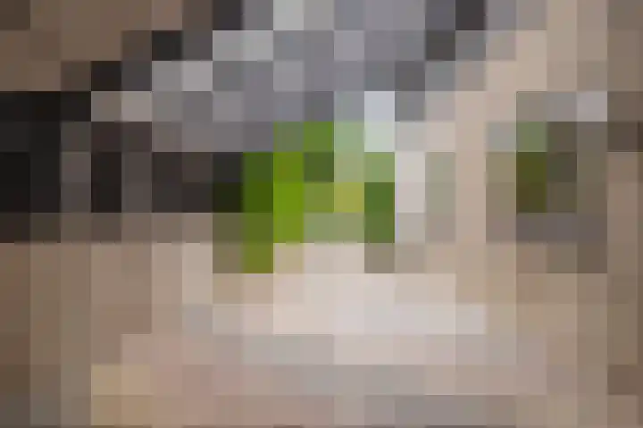 Het Walbekerveld 28 Angerlo thumbnail 14