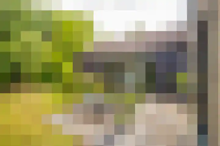 Het Walbekerveld 28 Angerlo thumbnail 33
