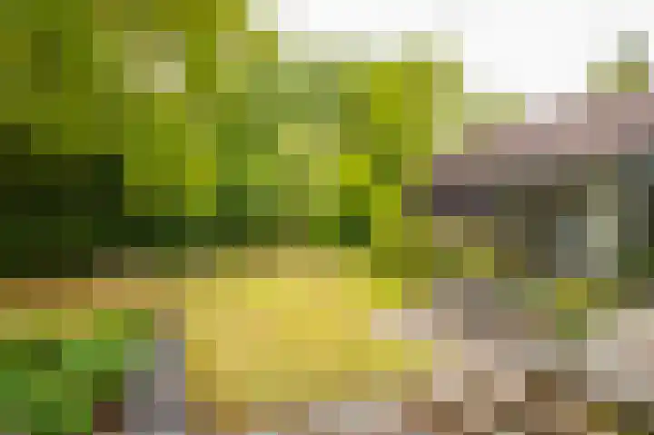 Het Walbekerveld 28 Angerlo thumbnail 34