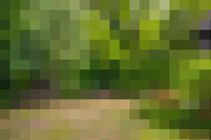 Het Walbekerveld 28 Angerlo thumbnail 36