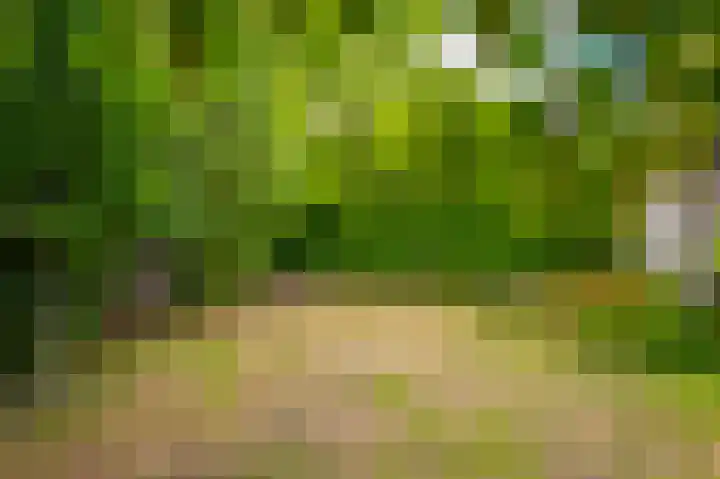 Het Walbekerveld 28 Angerlo thumbnail 37