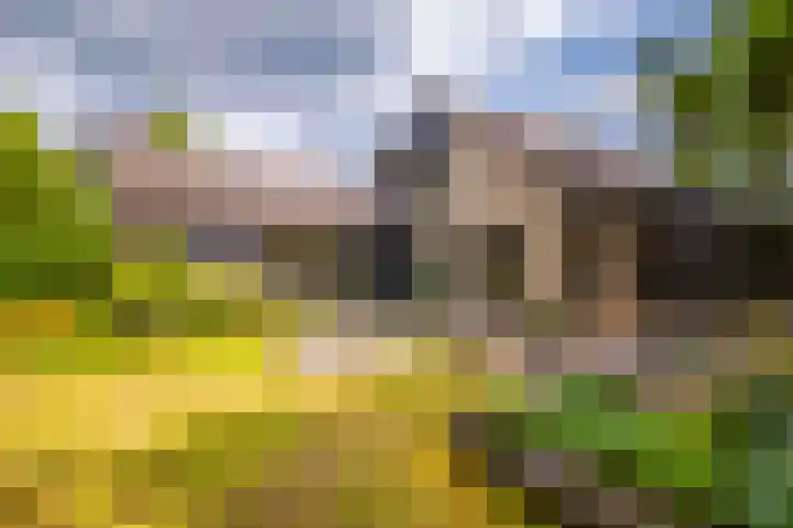 Het Walbekerveld 28 Angerlo thumbnail 5