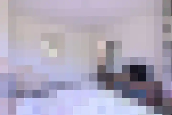 Het Wansink 1 Epse thumbnail 19