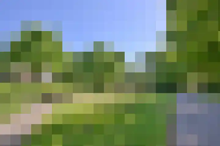 Het Wansink 1 Epse foto 3