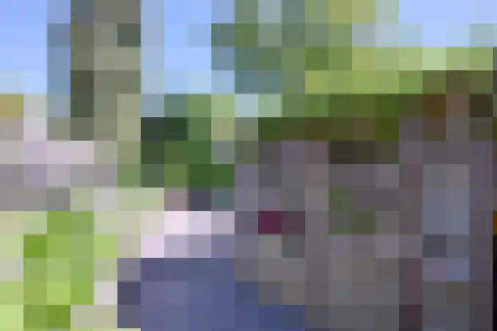 Het Wansink 1 Epse thumbnail 34