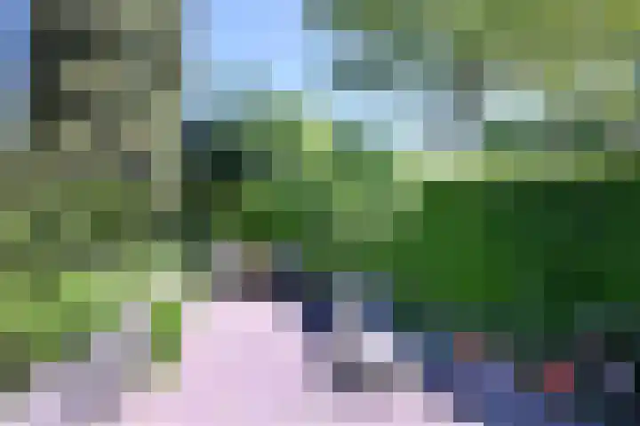 Het Wansink 1 Epse thumbnail 35