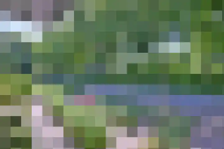 Het Wansink 1 Epse thumbnail 37