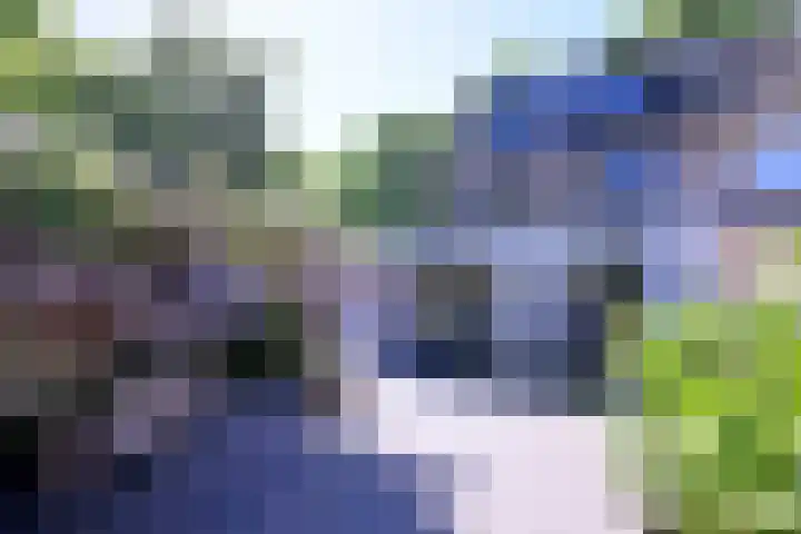 Het Wansink 1 Epse thumbnail 4