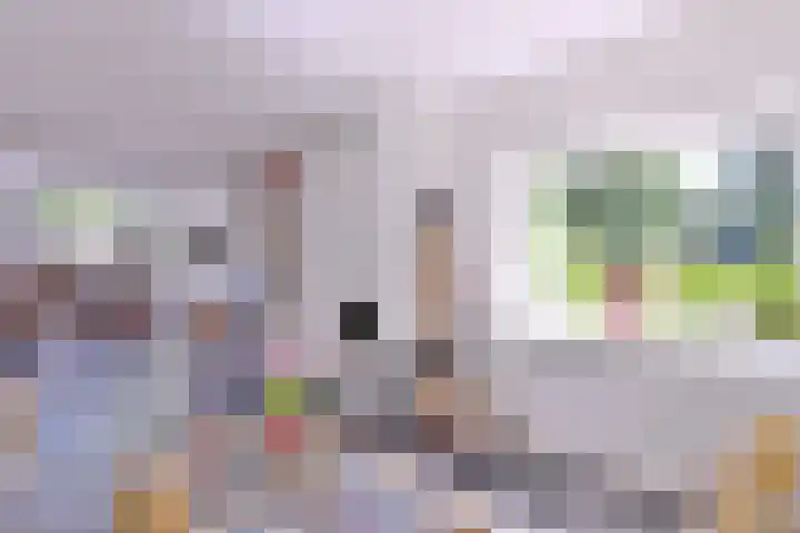 Het Wansink 1 Epse thumbnail 9