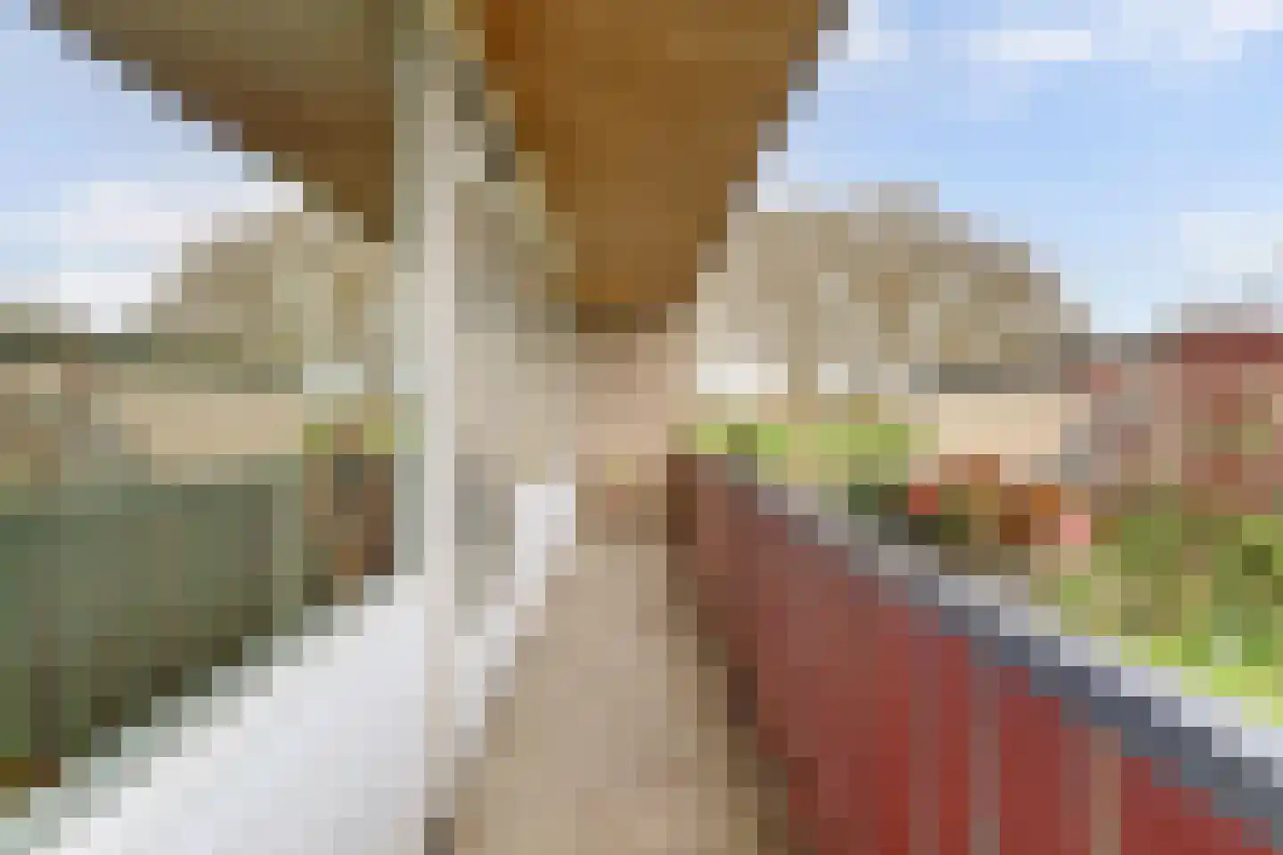 Het Wansink 22 Epse thumbnail 17