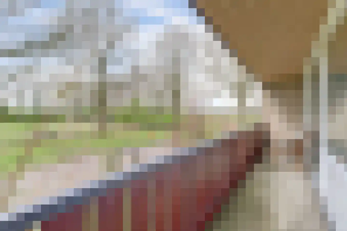 Het Wansink 22 Epse thumbnail 20