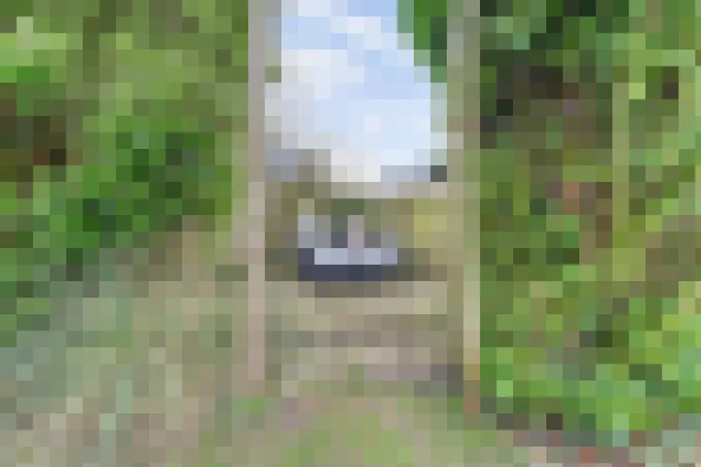 Het Wansink 22 Epse thumbnail 28