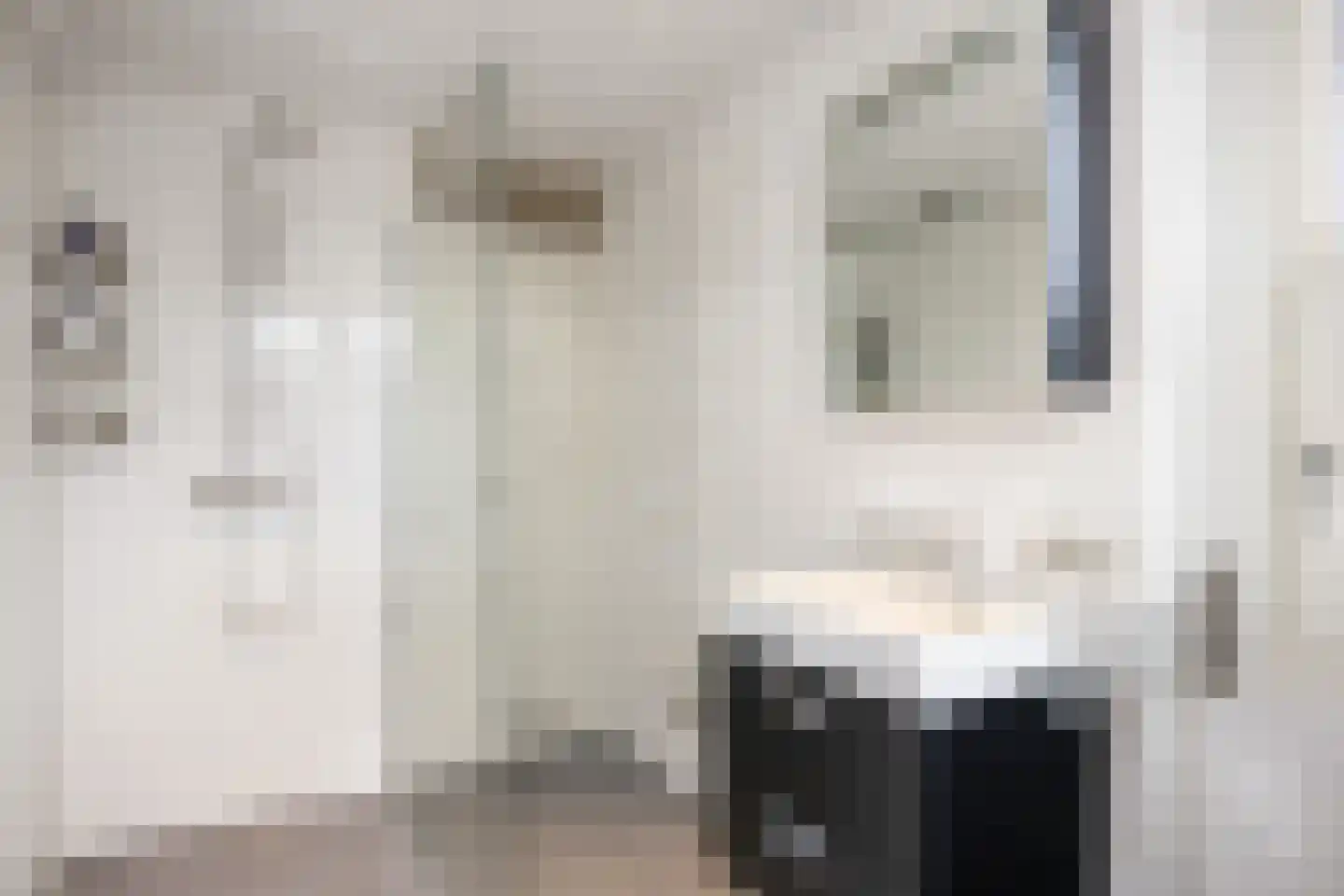 Het Want 101 Groningen thumbnail 34
